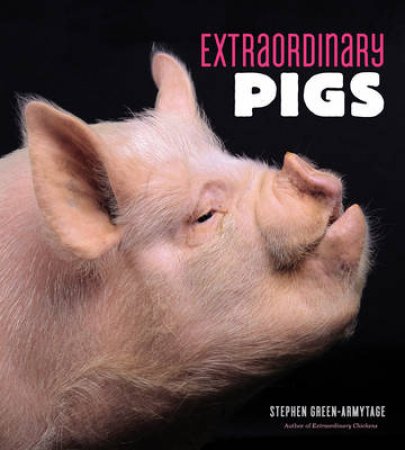 Extraordinary Pigs by Stephen Green-Armytage