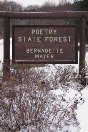 Poetry State Forest by Bernadette Mayer