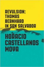 Revulsion Thomas Bernhard In San Salvador