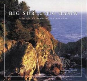 Big Sur To Big Basin by Pamela Verduin Cain