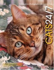 Cats 247