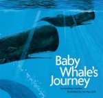 Baby Whales Journey