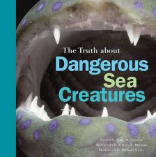 The Truth About Dangerous Sea Creatures