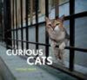 Curious Cats by Mitsuaki Iwago