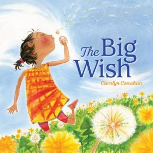 Big Wish by Carolyn Conahan