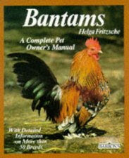 Bantams