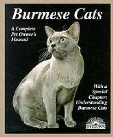 Burmese Cats by Cpom - Cats