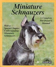 Miniature Schnauzers