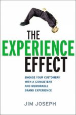 The Experience Effect Engage Your Customers With A Consistent And Memorable Brand Experience