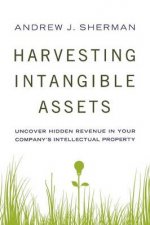 Harvesting Intangible Assets Uncover Hidden Revenue In Your Companys Intellectual Property