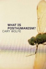 What is Posthumanism
