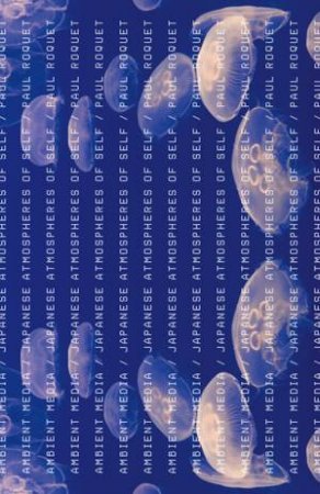 Ambient Media by Paul Roquet