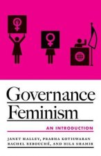 Governance Feminism