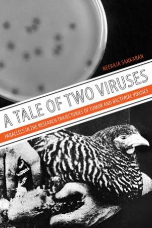 A Tale Of Two Viruses