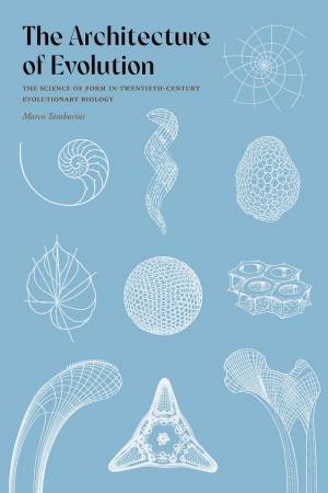 Architecture of Evolution: The Science of Form in Twentieth-Century Evolutionary Biology by MARCO TAMBORINI