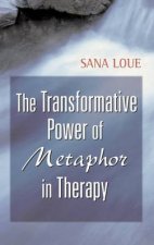Transformative Power of Metaphor in Therapy HC