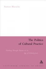 The Politics Of Cultural Practice