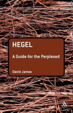 Hegel A Guide For The Perplexed