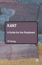 Kant A Guide For The Perplexed
