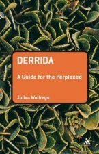 Derrida A Guide For The Perplexed