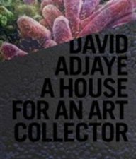 77E77 David Adjaye A House for an Art Collector
