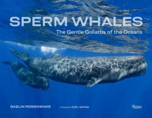 Sperm Whales by Gaelin Rosenwaks & Carl Safina