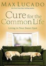 Cure For The Common Life Living In Your Sweet Spot