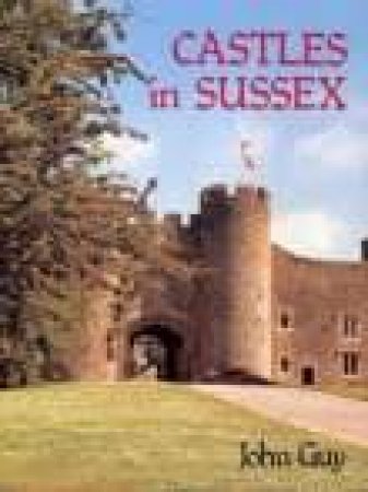 Castles In Sussex by JOHN GUY