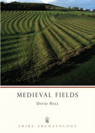 Medieval Fields by David Hall