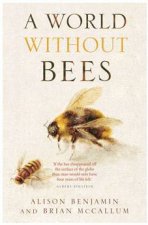 A World Without Bees