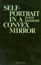Selfportrait in a Convex Mirror