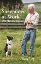 Sheepdogs at Work One Man and His Dog