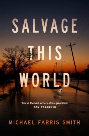 Salvage This World by Michael Farris Smith