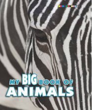 My Big Book of Animals