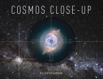 Cosmos CloseUp