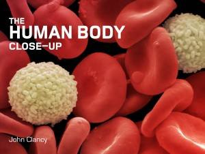 Human Body Close-Up by John Clancy