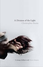 A Division of the Light