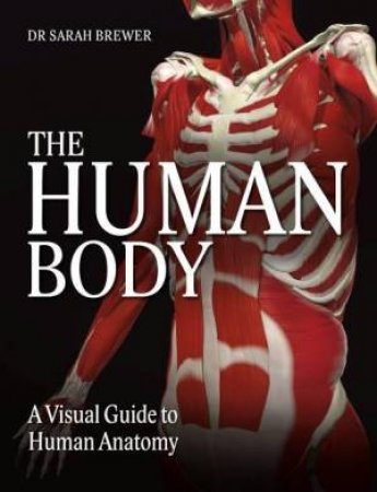 The Human Body by Sarah Brewer