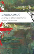 Journey Of A Caribbean Writer