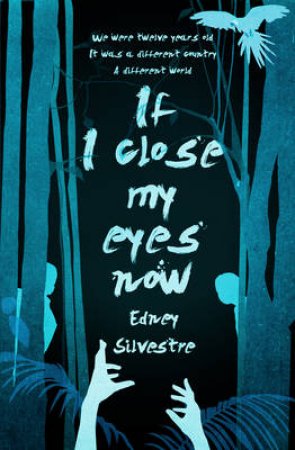If I Close My Eyes Now by Edney Silvestre