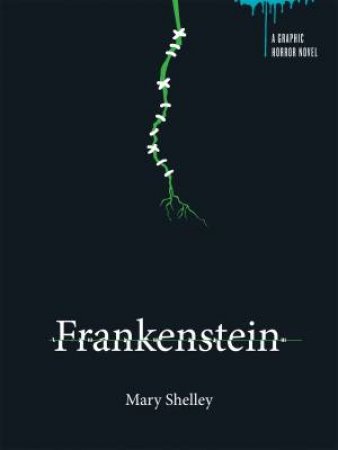A Graphic Horror Novel : Frankenstein by Mary Shelley