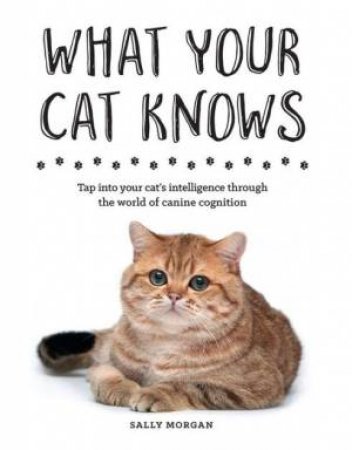 What Your Cat Knows by Sally Morgan