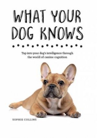 What Your Dog Know by Sophie Collins