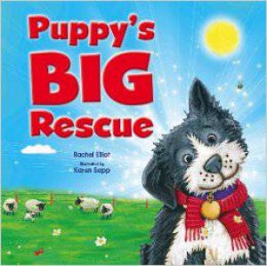Puppy's Big Rescue by Various
