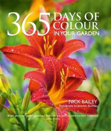 365 Days of Colour by Nick Bailey