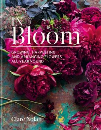 In Bloom by Clare Nolan
