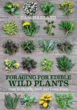 Foraging For Edible Wild Plants