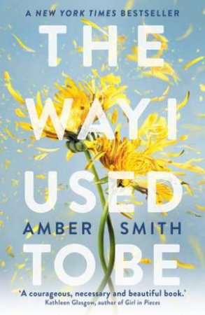 The Way I Used To Be by Amber Smith