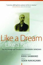 Like A Dream Like A Fantasy The ZEN Teachings and Translations Of Nyogen