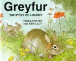 Greyfur The Story Of A Rabbit